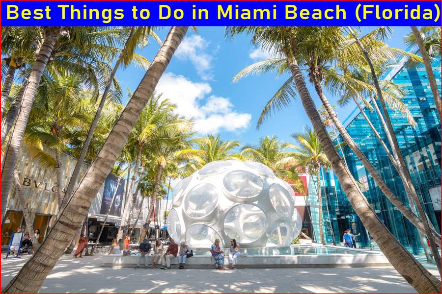 Best Things to Do in Miami Beach