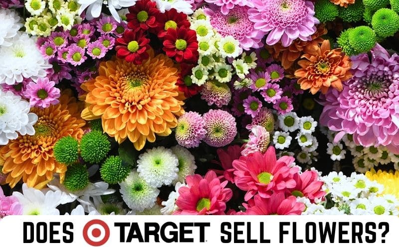 Does Target Sell Flowers 