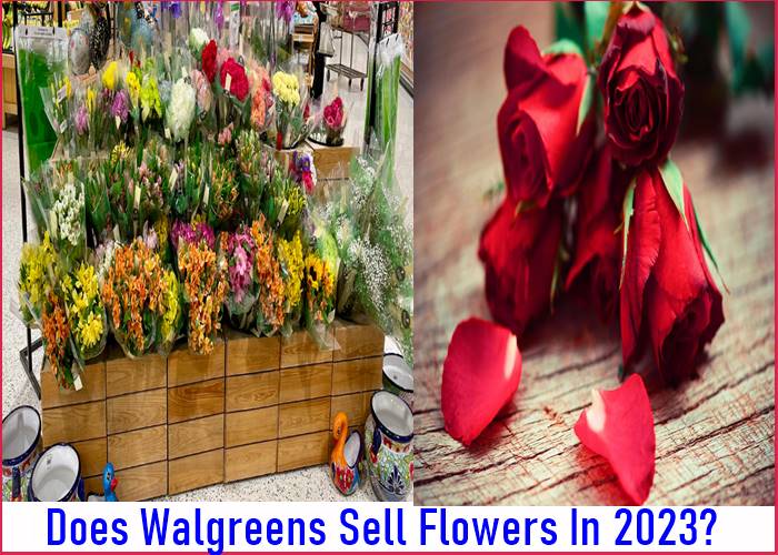 Does Walgreens Sell Flowers In 2023? [Types, Price, Quality + More]