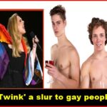 Is 'Twink' a slur to gay people?