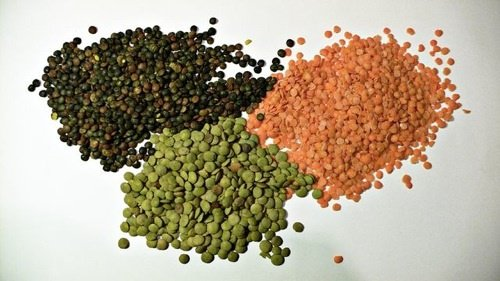 What are green lentils and red lentils?